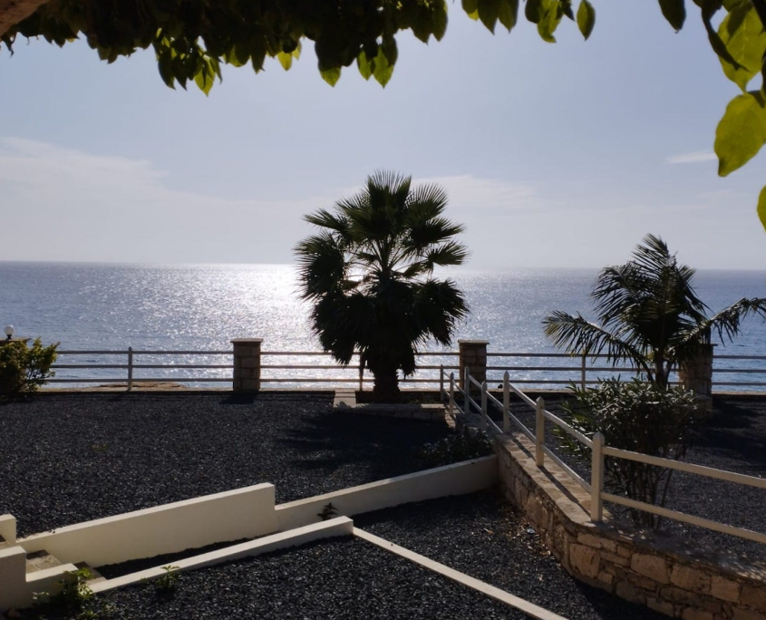 Villa 8 view